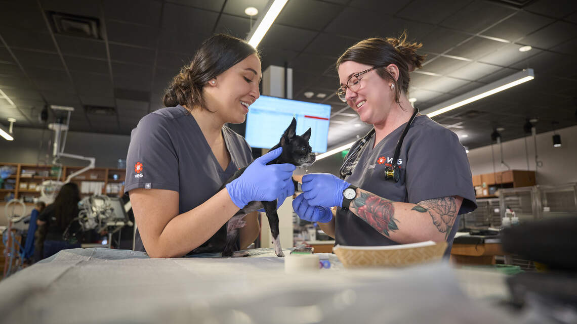 New pet hospital with family-first approach coming to southwest Broward