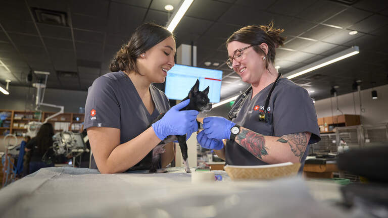 New pet hospital with family-first approach coming to southwest Broward