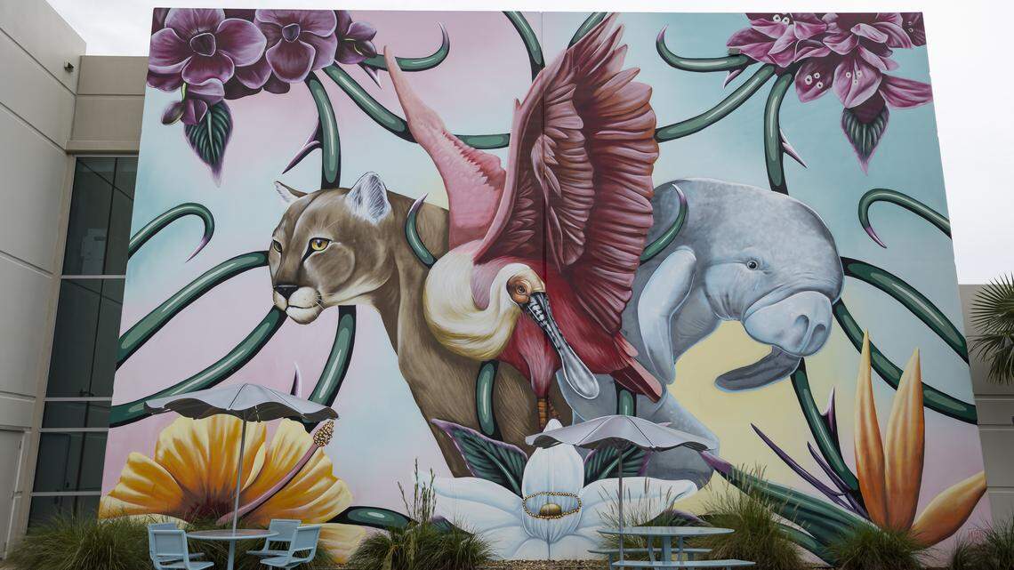 Catch up on three stories that have sparked conversation around Pembroke Pines.