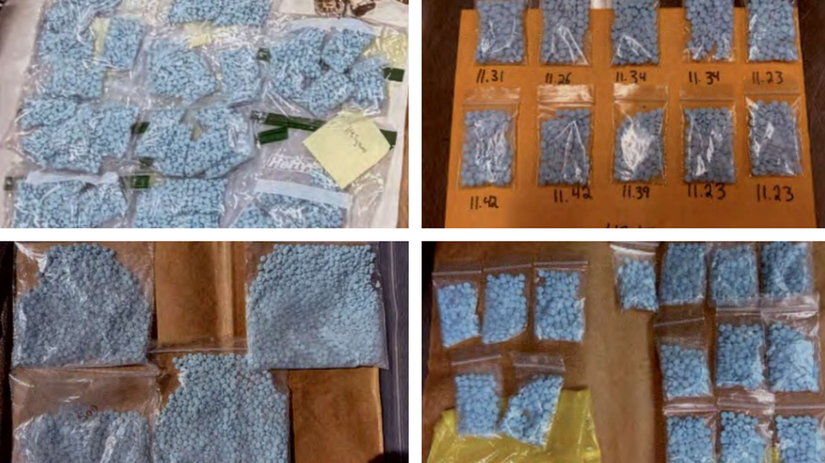 Five arrests were made in a South Florida fentanyl trafficking bust after an undercover sting operation.
