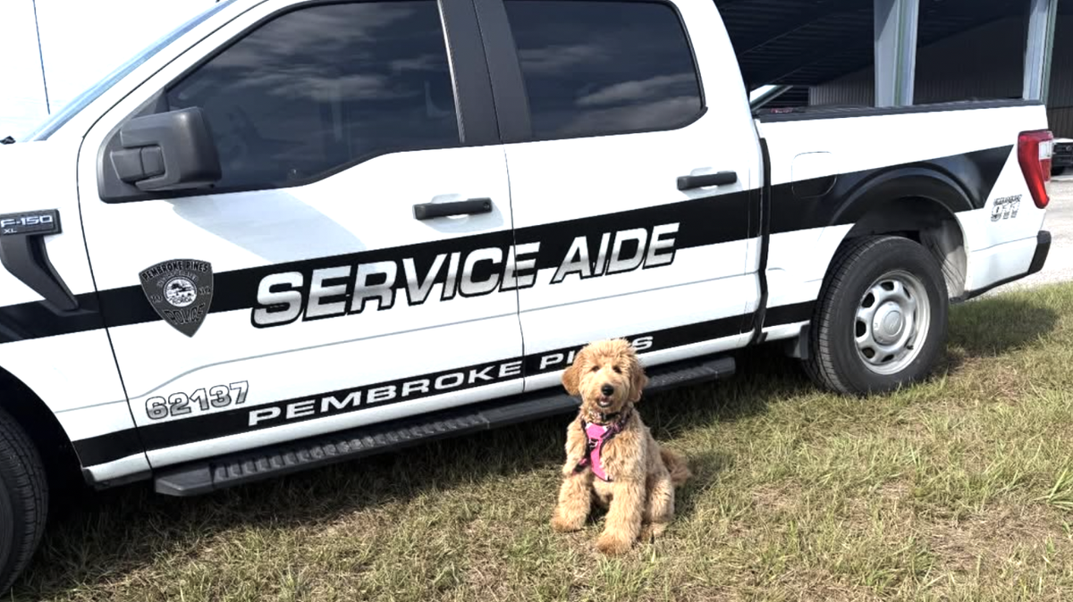 Comfort K-9 Jellybean provides emotional support to residents and first responders.