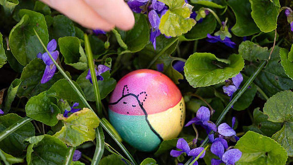 Dorothy Wilhelm remembers the Easter that they missed one of the eggs