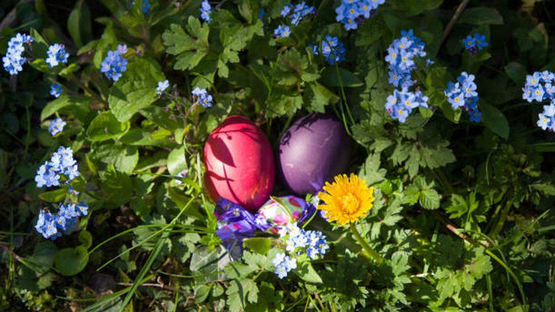 Ready to hunt Easter eggs? Pembroke Pines rings in holiday with citywide event
