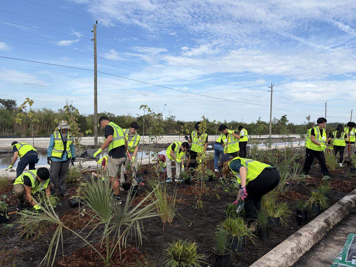 Advanced Placement Environmental Science students from Pembroke Pines Charter High participate in a microhabitat planting event hosted at Waste Management Recycling South Florida on Thursday, Nov. 6, in Pembroke Pines.