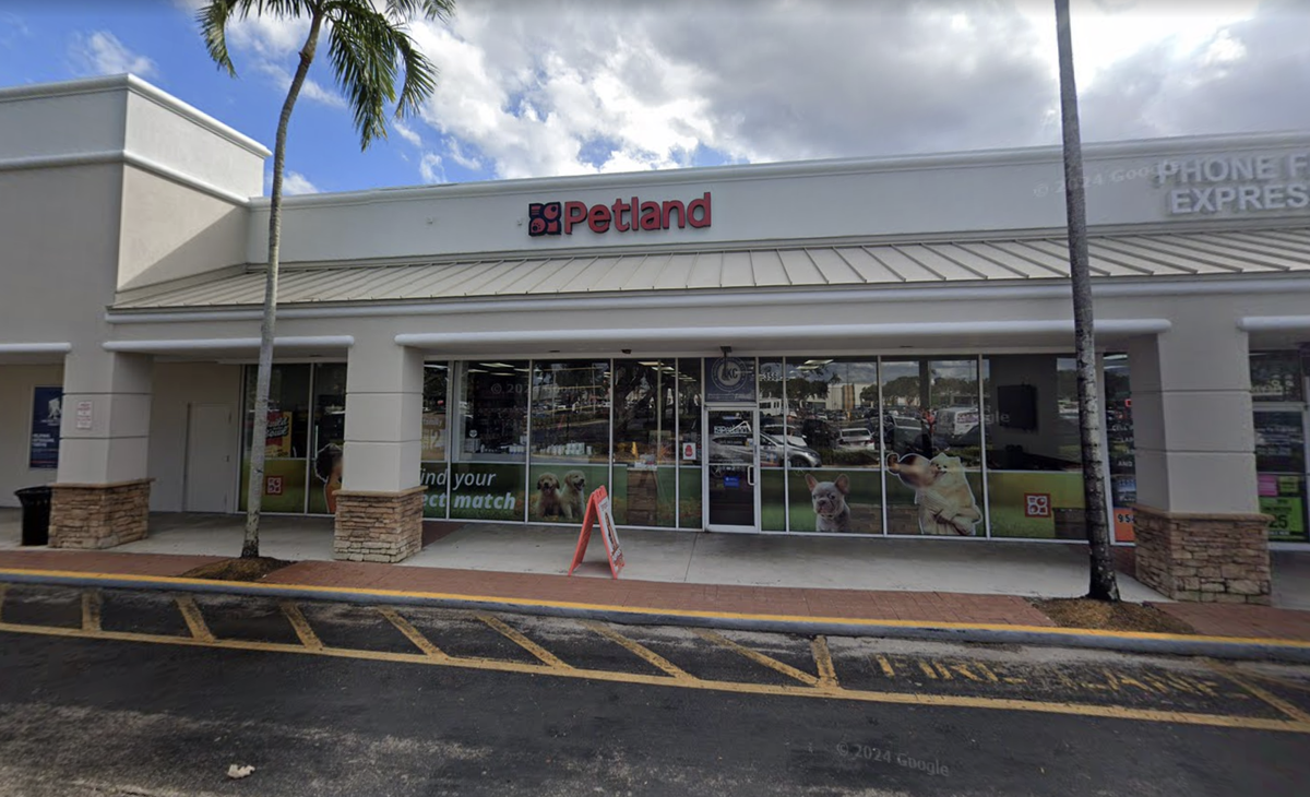Screen grab of Petland’s Pembroke Pines store, located at 356 N. University Drive.